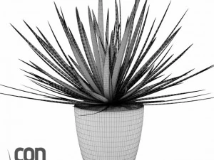 鉢植え07 3Dモデル