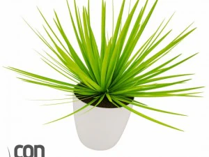 鉢植え07 3Dモデル