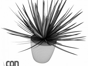 potted plant07 3D मॉडल