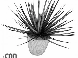 鉢植え07 3Dモデル