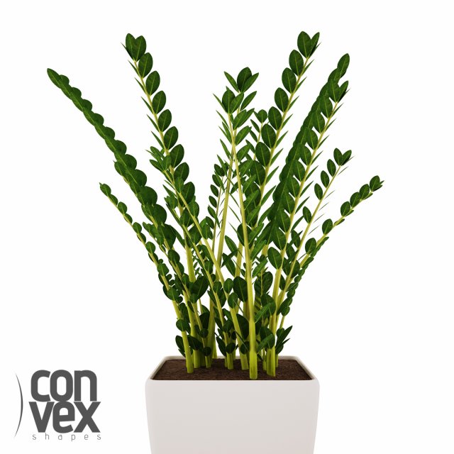 potted plant08 3D Модель .c4d .max .obj .3ds .fbx .stl .blend 