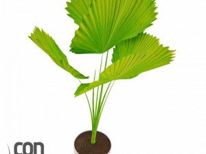 potted plant09 3D Model