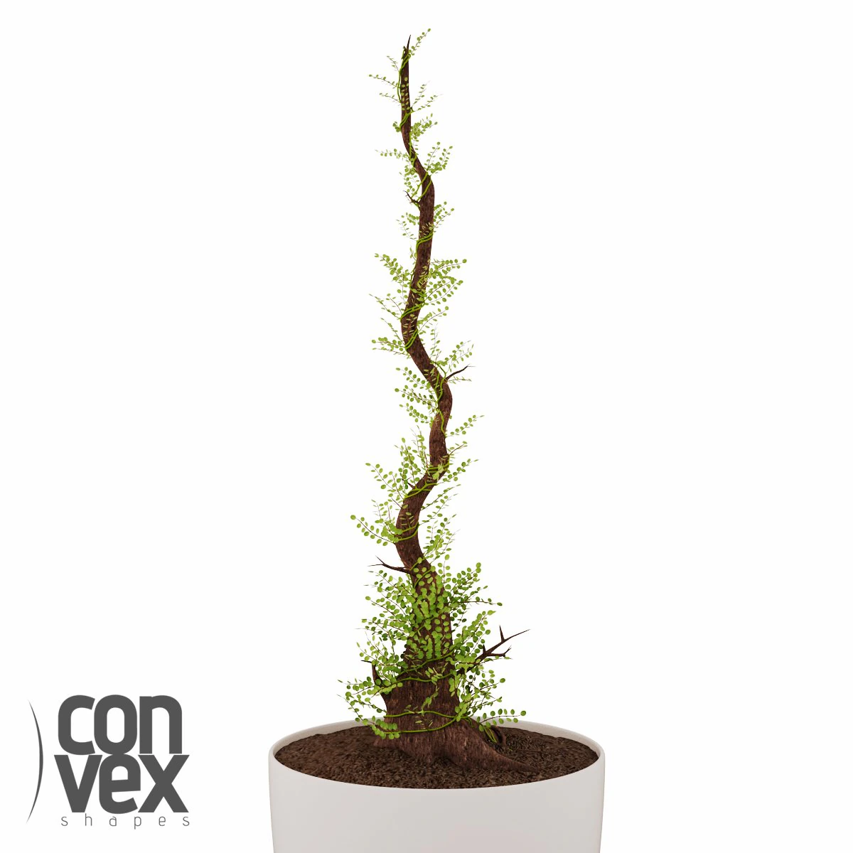 potted plant10 3D Model .c4d .max .obj .3ds .fbx .stl .blend