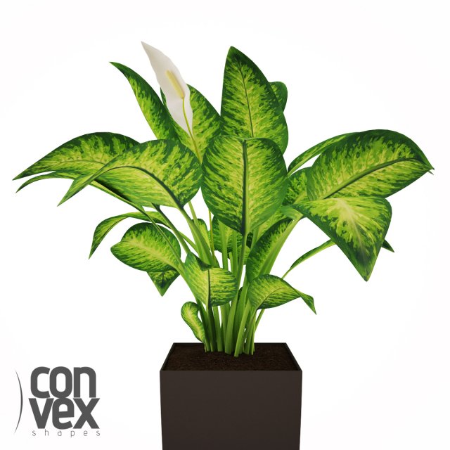 potted plant12 3Dモデル .c4d .max .obj .3ds .fbx .stl .blend 