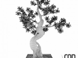 potted plant16 Modello 3D