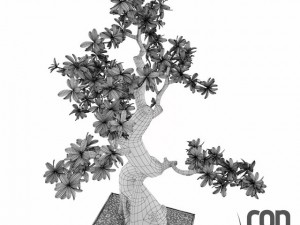 potted plant16 Modello 3D