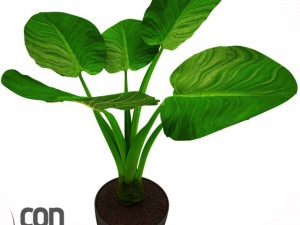 potted plant20 3D Model
