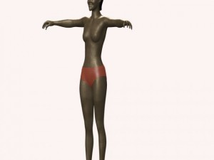 vennika 3D Model