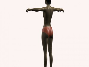 vennika 3D Model