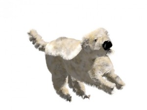 sporo 3D 模型
