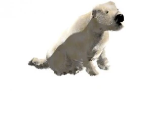 sporo 3D Model