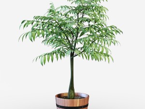 houseplant 3Dモデル