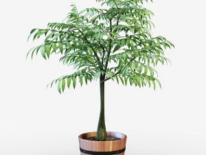 घर का पौधा 3D मॉडल