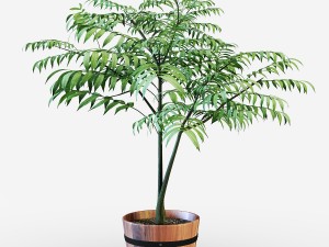 houseplant 3D Model