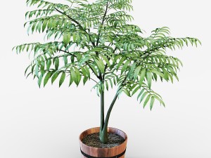 houseplant 3D Model