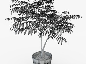 houseplant 3D Model