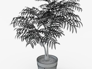 houseplant 3D Model