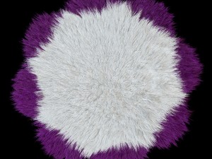 carpet daisy 3D Model