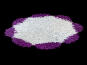 carpet daisy 3D 模型