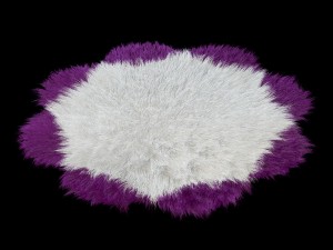 carpet daisy 3D 模型