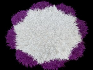 carpet daisy 3D 模型