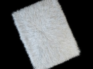carpet longe pile 3D Model