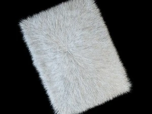 carpet longe pile 3D Model
