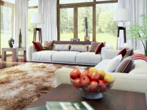 living room v-ray interior scene 3D Model
