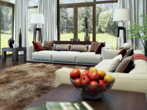 living room v-ray interior scene 3D Model