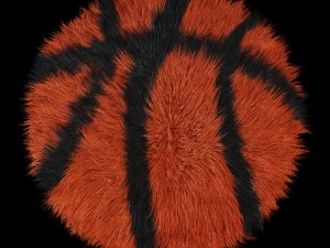 carpet round basketball Model 3D