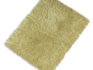 carpet with long pile Model 3D