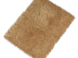 carpet with long pile Model 3D