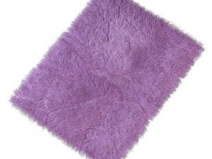 carpet with long pile Model 3D