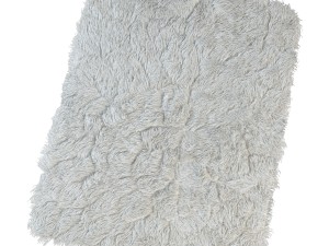 carpet with long pile 3D 模型