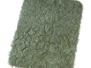 carpet with long pile 3D Модель