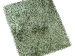 carpet with long pile 3Dモデル