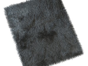 carpet with long pile Modelo 3D