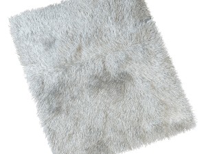carpet with long pile Modelo 3D