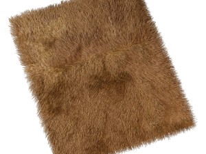 carpet with long pile Modelo 3D