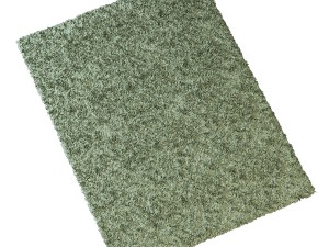 carpet with a short nap 3D Model