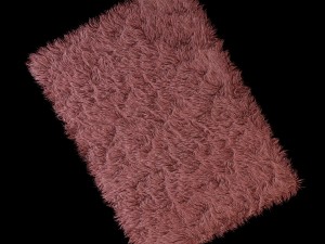 deep-piled carpet Model 3D