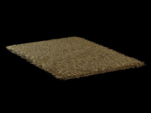 deep-piled carpet Model 3D
