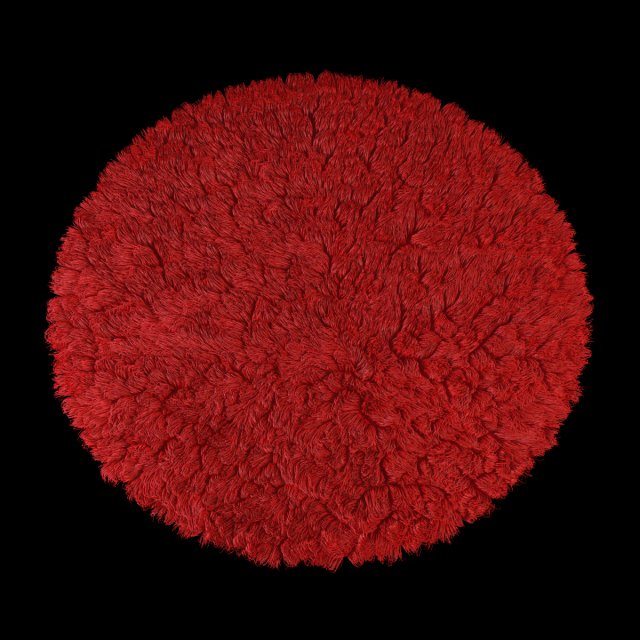 round rug 3D Model .c4d .max .obj .3ds .fbx .stl .blend 