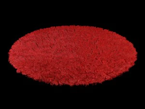 round rug 3D Model