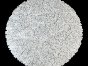 round rug 3D Model