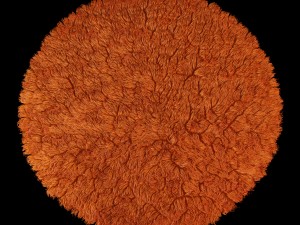 round rug 3D Model