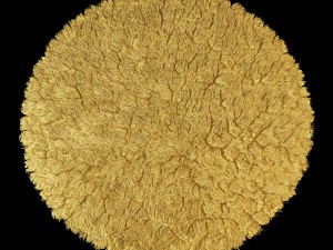 round rug 3D Model