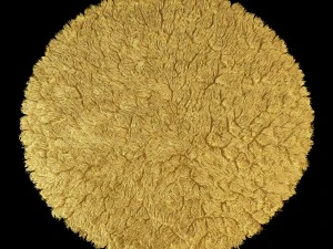 round rug 3D Model
