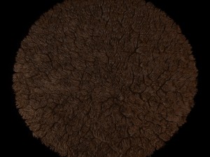 round rug 3D Model