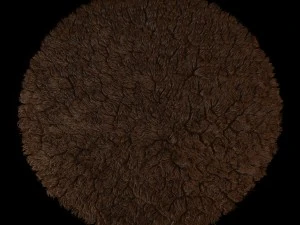 round rug 3D Model